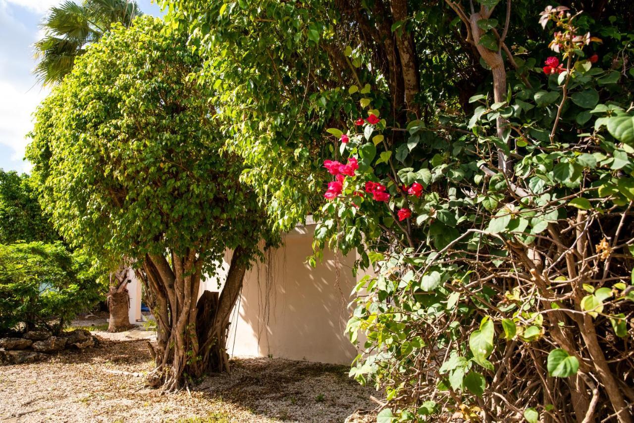 קרלנדיק Hamlet Oasis Resort מראה חיצוני תמונה