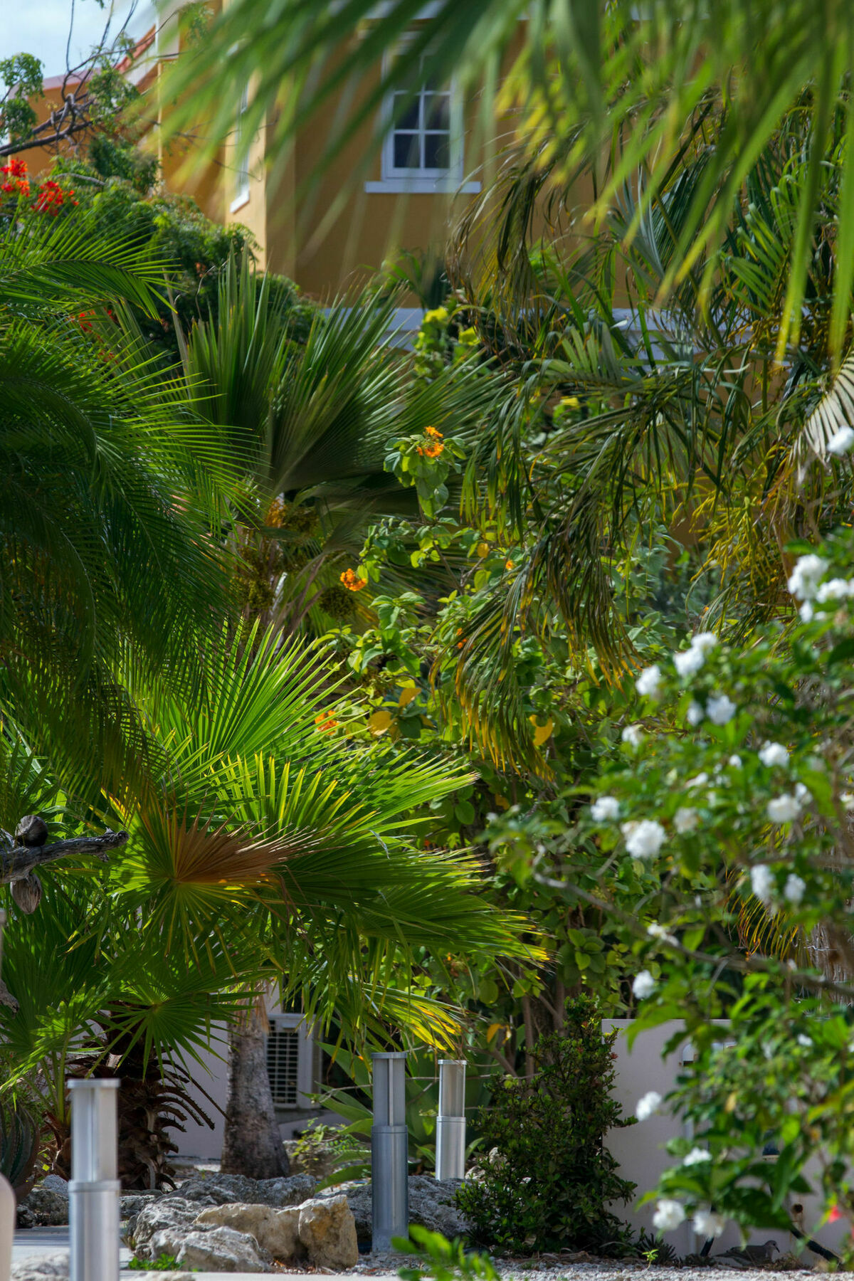 קרלנדיק Hamlet Oasis Resort מראה חיצוני תמונה